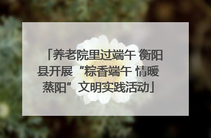 养老院里过端午 衡阳县开展“粽香端午 情暖蒸阳”文明实践活动