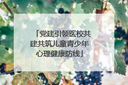 党建引领医校共建共筑儿童青少年心理健康防线