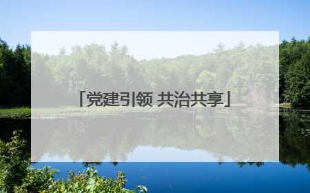 党建引领 共治共享