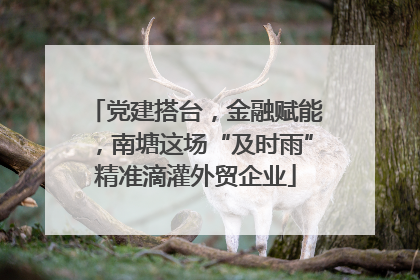党建搭台，金融赋能，南塘这场“及时雨”精准滴灌外贸企业