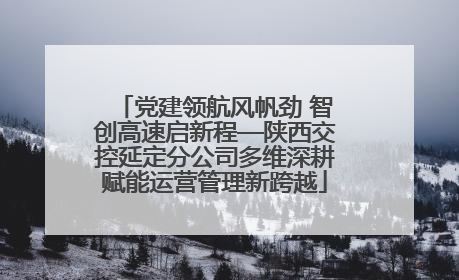 党建领航风帆劲 智创高速启新程—陕西交控延定分公司多维深耕赋能运营管理新跨越