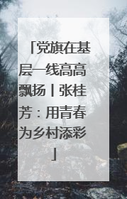 党旗在基层一线高高飘扬丨张桂芳：用青春为乡村添彩