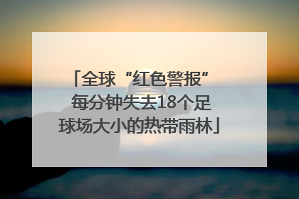 全球“红色警报”  每分钟失去18个足球场大小的热带雨林