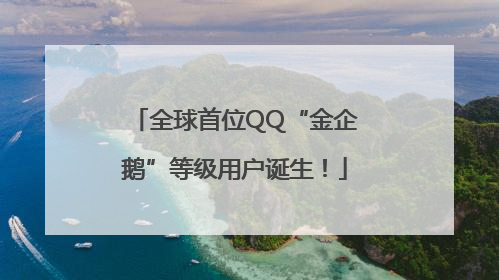 全球首位QQ“金企鹅”等级用户诞生！