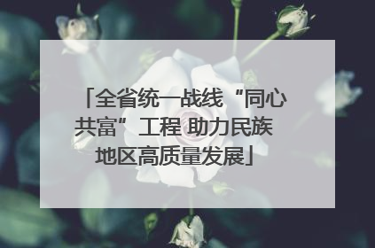 全省统一战线“同心共富”工程 助力民族地区高质量发展