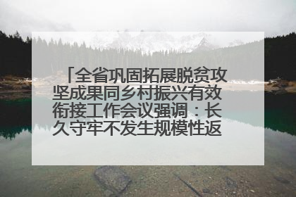 全省巩固拓展脱贫攻坚成果同乡村振兴有效衔接工作会议强调：长久守牢不发生规模性返贫致贫底线 王宁出席并讲话 王予波主持