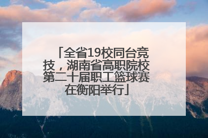 全省19校同台竞技，湖南省高职院校第二十届职工篮球赛在衡阳举行