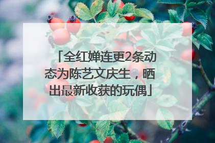 全红婵连更2条动态为陈艺文庆生，晒出最新收获的玩偶