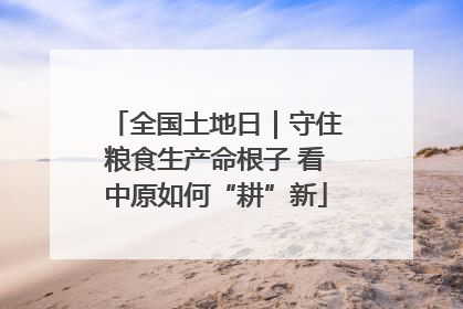 全国土地日｜守住粮食生产命根子 看中原如何“耕”新