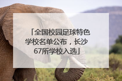 全国校园足球特色学校名单公布，长沙67所学校入选