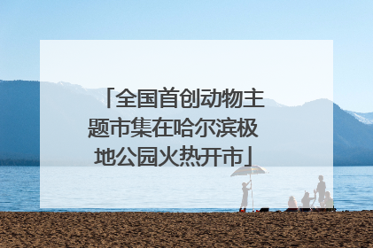 全国首创动物主题市集在哈尔滨极地公园火热开市