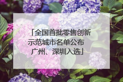 全国首批零售创新示范城市名单公布 广州、深圳入选