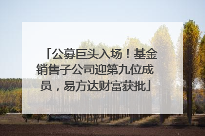公募巨头入场！基金销售子公司迎第九位成员，易方达财富获批