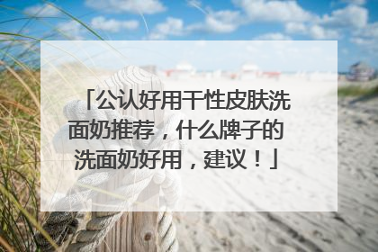 公认好用干性皮肤洗面奶推荐，什么牌子的洗面奶好用，建议！