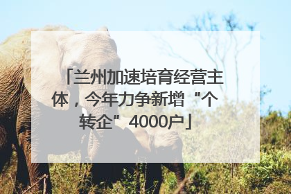 兰州加速培育经营主体，今年力争新增“个转企”4000户