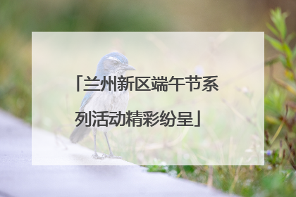 兰州新区端午节系列活动精彩纷呈