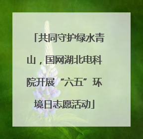 共同守护绿水青山，国网湖北电科院开展“六五”环境日志愿活动