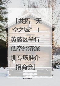 共拓“天空之城”！黄陂区举行低空经济深圳专场推介招商会
