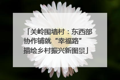 关岭围墙村：东西部协作铺就“幸福路” 描绘乡村振兴新图景