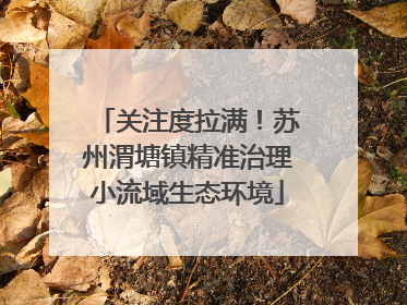 关注度拉满！苏州渭塘镇精准治理小流域生态环境