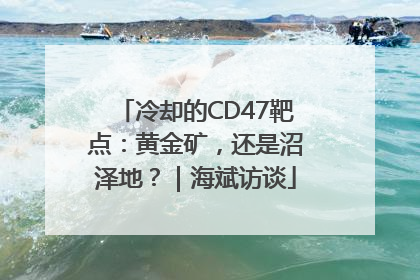 冷却的CD47靶点：黄金矿，还是沼泽地？｜海斌访谈
