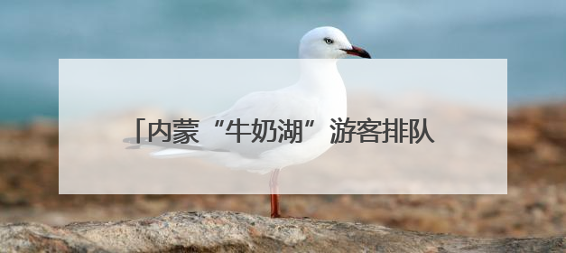 内蒙“牛奶湖”游客排队接奶？当地文旅局：是纯牛奶不是湖水，可放心喝
