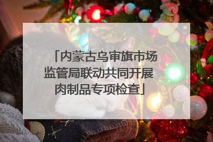 内蒙古乌审旗市场监管局联动共同开展肉制品专项检查