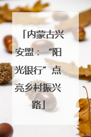 内蒙古兴安盟：“阳光银行”点亮乡村振兴路