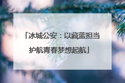 冰城公安：以藏蓝担当 护航青春梦想起航