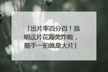 出片率百分百！昆明这片花海美炸啦，随手一拍就是大片
