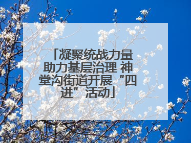 凝聚统战力量 助力基层治理 神堂沟街道开展“四进”活动