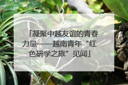 凝聚中越友谊的青春力量——越南青年“红色研学之旅”见闻