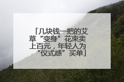 几块钱一把的艾草“变身”花束卖上百元，年轻人为“仪式感”买单