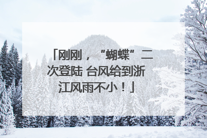 刚刚，“蝴蝶”二次登陆 台风给到浙江风雨不小！