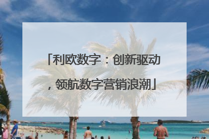 利欧数字：创新驱动，领航数字营销浪潮