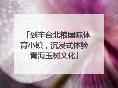 到丰台北粮国际体育小镇，沉浸式体验青海玉树文化