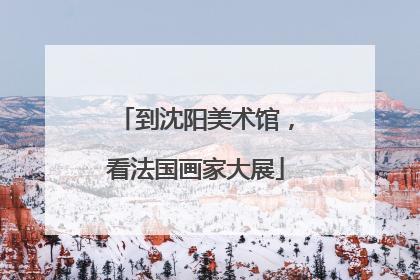 到沈阳美术馆，看法国画家大展