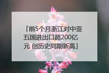 前5个月浙江对中亚五国进出口超200亿元 创历史同期新高
