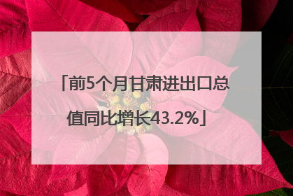 前5个月甘肃进出口总值同比增长43.2%