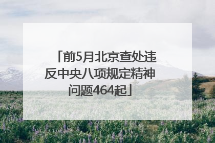 前5月北京查处违反中央八项规定精神问题464起