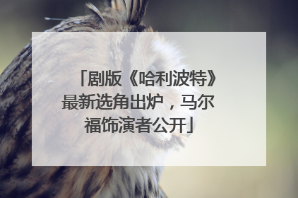 剧版《哈利波特》最新选角出炉，马尔福饰演者公开
