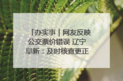 办实事｜网友反映公交票价错误 辽宁阜新：及时核查更正 加强实时巡检