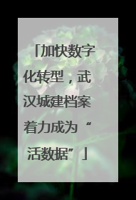 加快数字化转型，武汉城建档案着力成为“活数据”