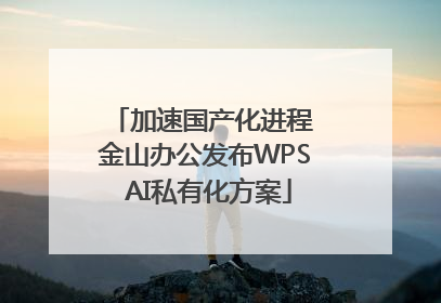 加速国产化进程 金山办公发布WPS AI私有化方案