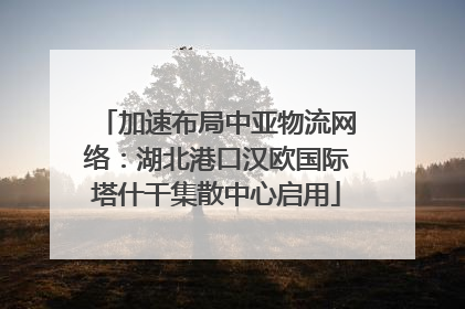 加速布局中亚物流网络：湖北港口汉欧国际塔什干集散中心启用