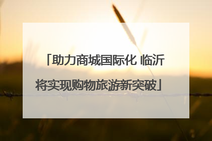 助力商城国际化 临沂将实现购物旅游新突破