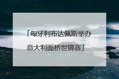 匈牙利布达佩斯举办意大利面桥世锦赛