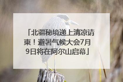 北疆秘境递上清凉请柬！避暑气候大会7月9日将在阿尔山启幕