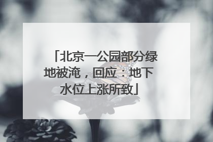 北京一公园部分绿地被淹，回应：地下水位上涨所致