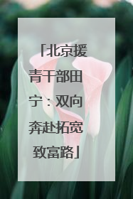 北京援青干部田宁：双向奔赴拓宽致富路